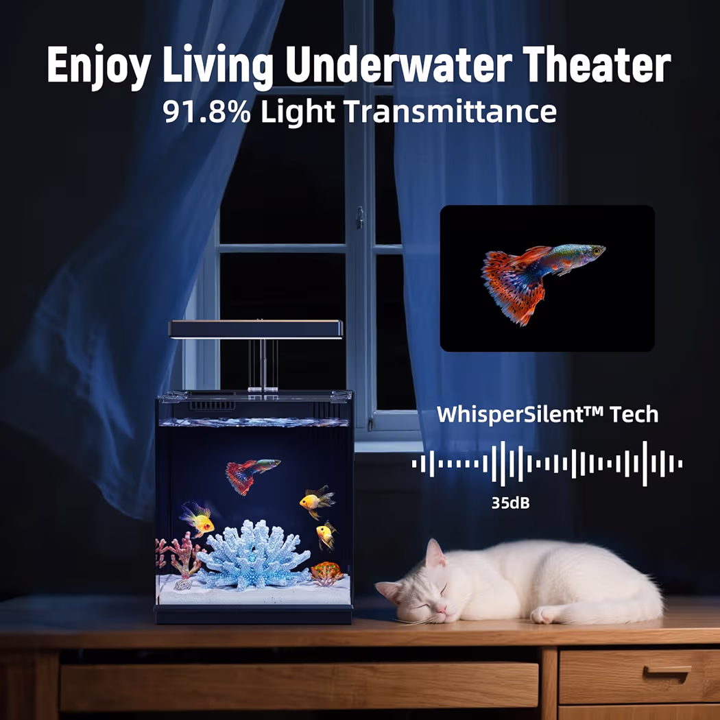 715hr+xLliL._AC_AIweblab1006854,T4_FMavif_SF1050,1050_PQ64_