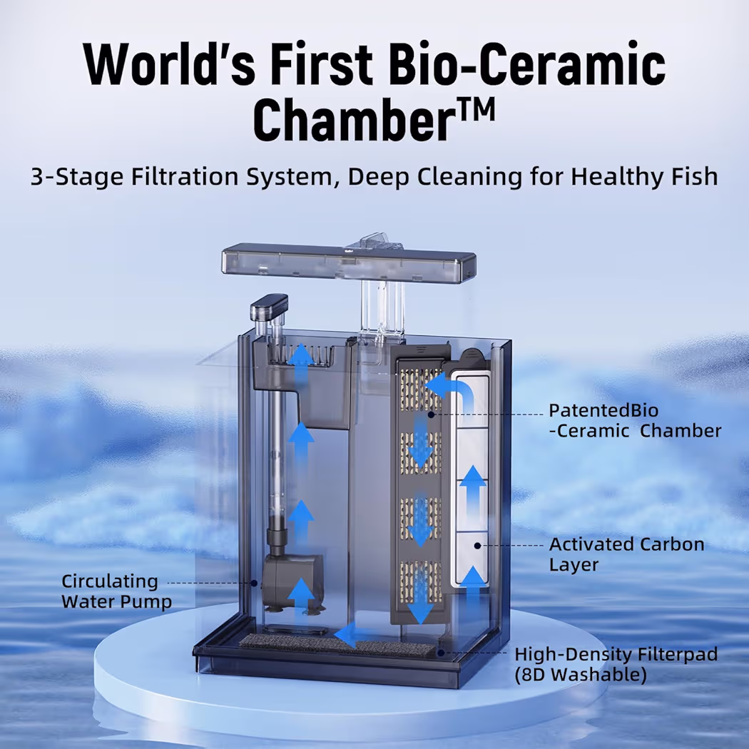 71ogLUDtuuL._AC_AIweblab1006854,T4_FMavif_SF1050,1050_PQ64_