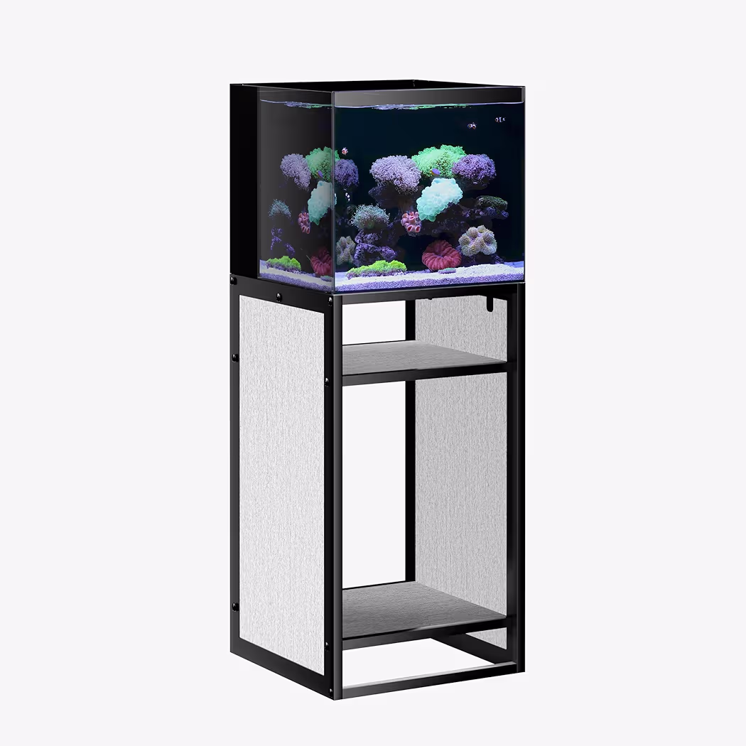 81H5FgLDXYL._AC_AIweblab1006854,T4_FMavif_SF1050,1050_PQ64_